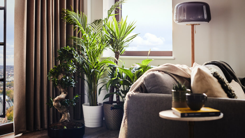 1 Bedroom Flats to Rent in Wembley, North London UNCLE